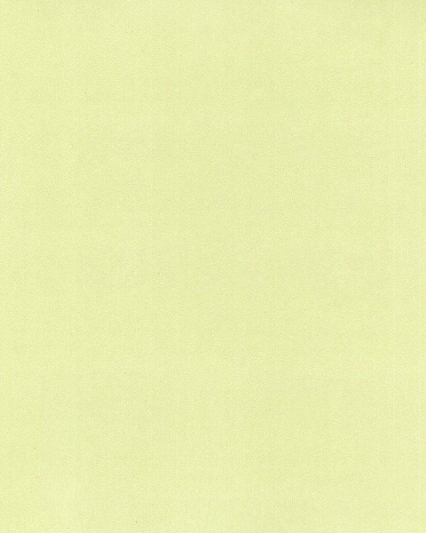 Hattan Palette | 12 Leaf